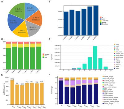 IMF deposition ceRNA network analysis and functional study of HIF1a in yak